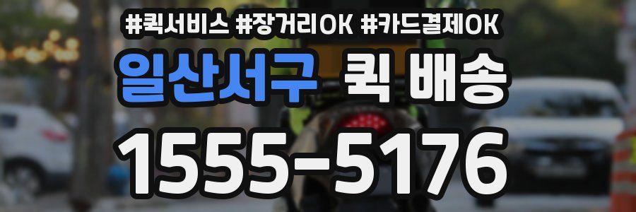 일산서구 퀵 배송