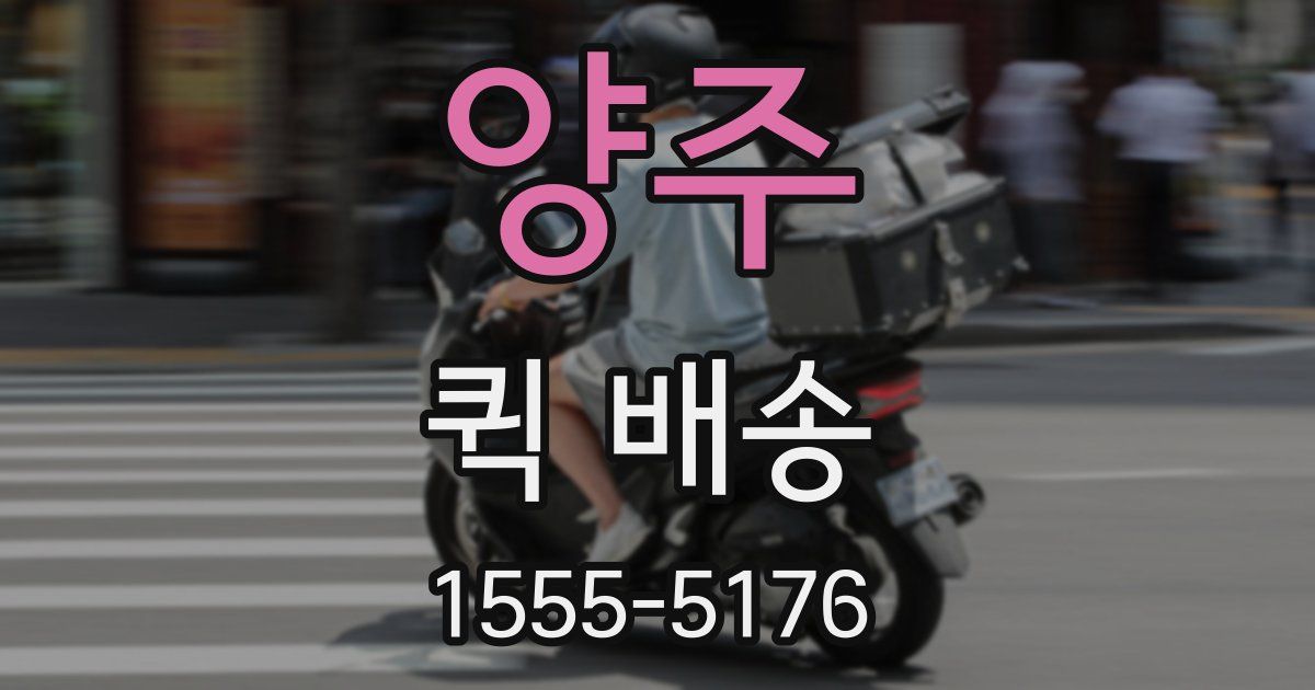 양주 퀵 배송