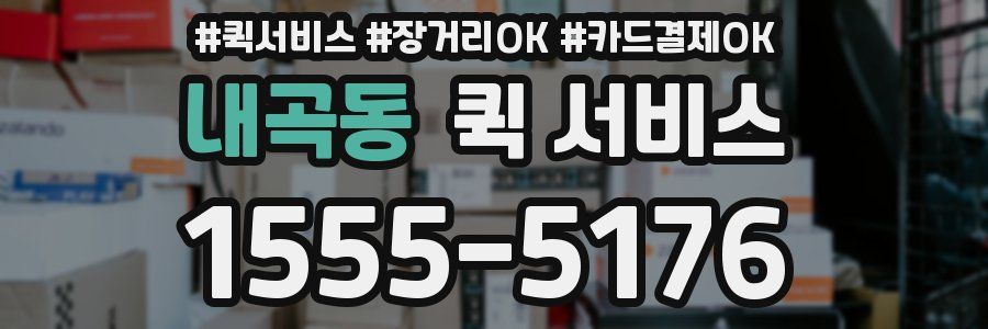 내곡동 퀵 서비스