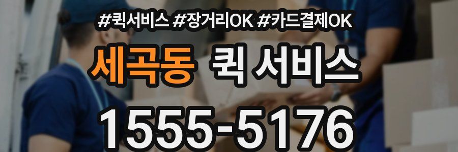 세곡동 퀵 서비스