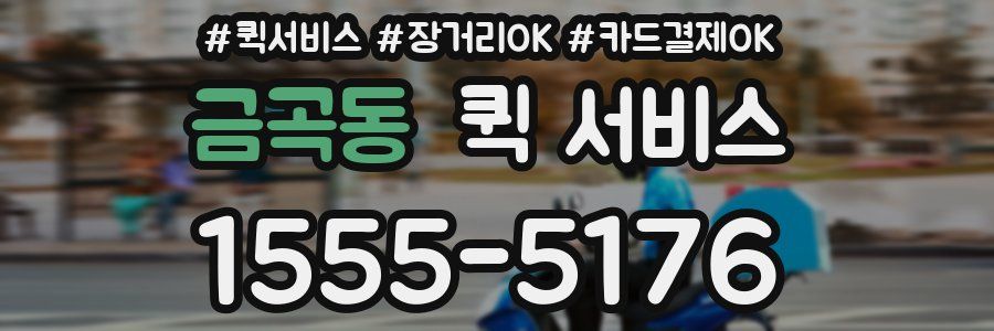 금곡동 퀵 서비스
