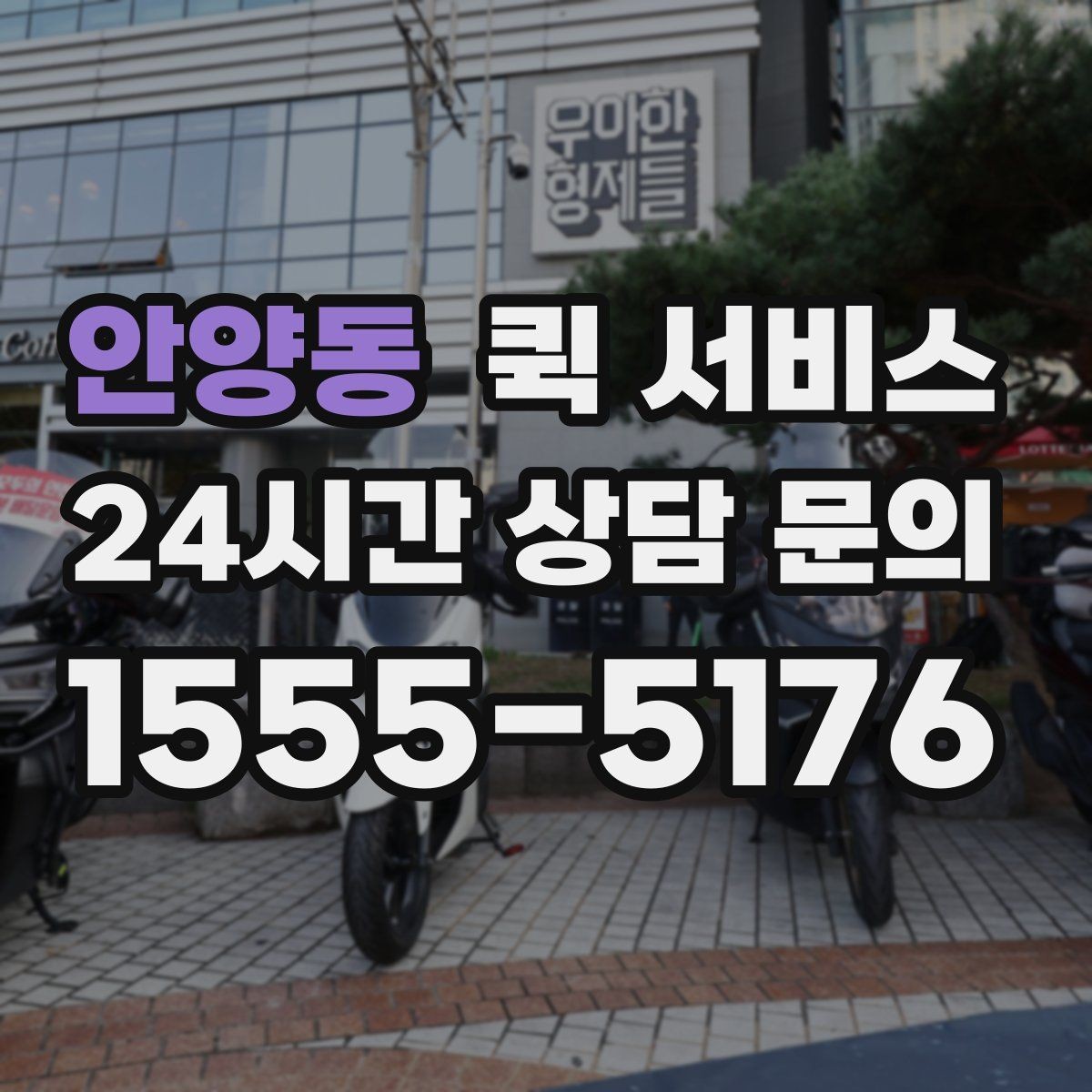 안양동 퀵 서비스 중간 확인이 필요한 경우와 방법