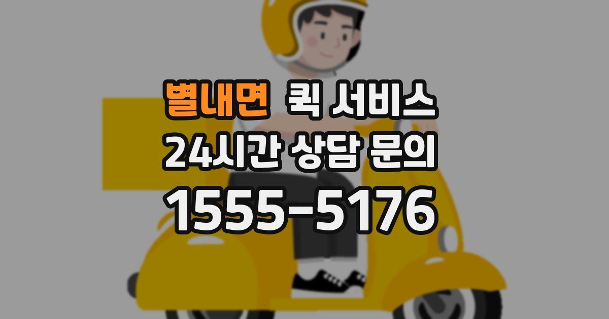 별내면 퀵 서비스