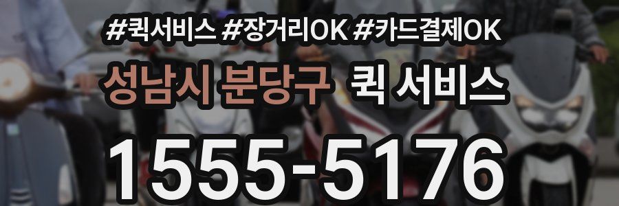 성남시 분당구 퀵 서비스