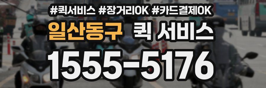 일산동구 퀵 서비스