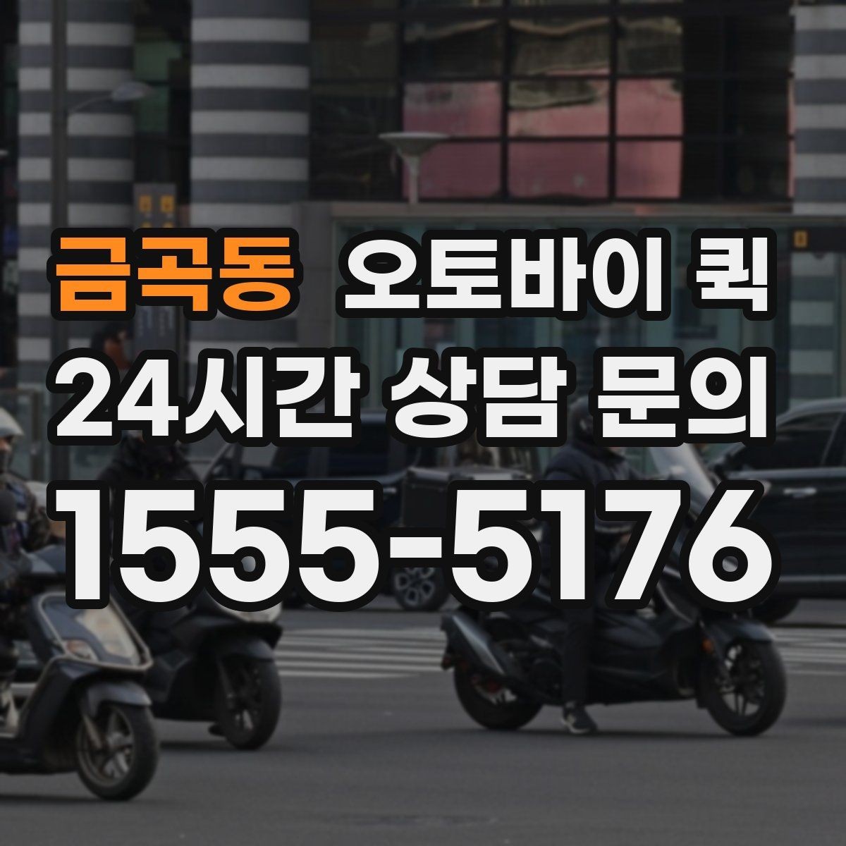 금곡동 오토바이 퀵 지역 업체 비교 시 살펴볼 정보