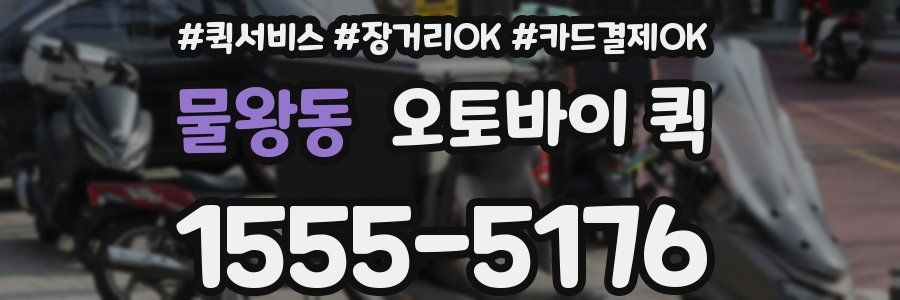 물왕동 오토바이 퀵