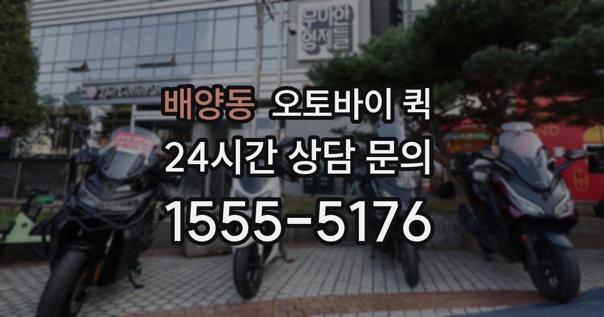 배양동 오토바이 퀵