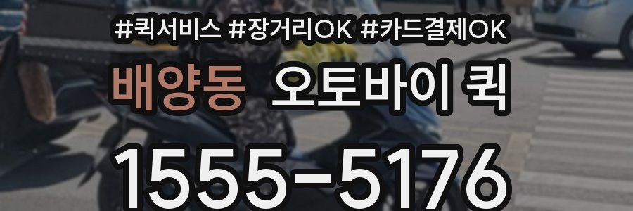 배양동 오토바이 퀵