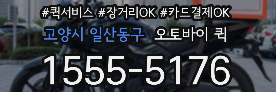 고양시 일산동구 오토바이 퀵