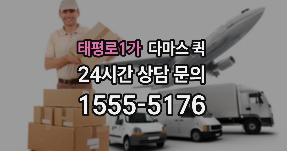 태평로1가 다마스 퀵