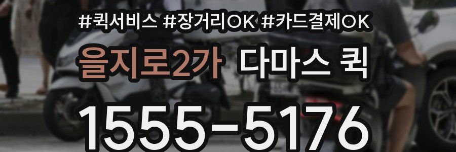 을지로2가 다마스 퀵