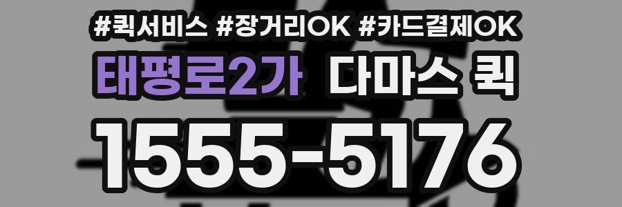 태평로2가 다마스 퀵
