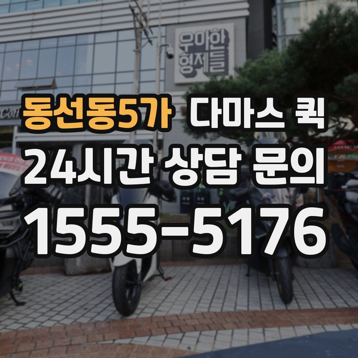 동선동5가 다마스 퀵 빠른 운송이 필요한 업무 상황
