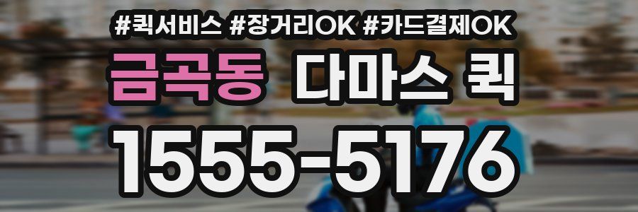 금곡동 다마스 퀵