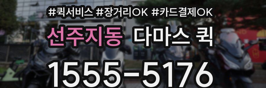 선주지동 다마스 퀵