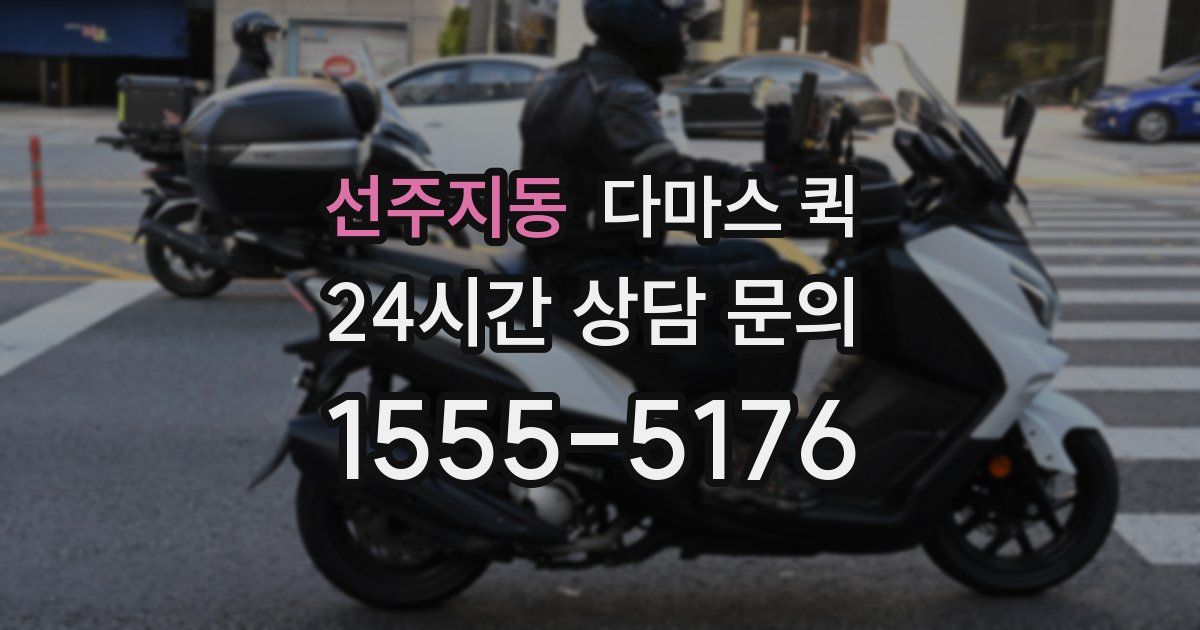 선주지동 다마스 퀵