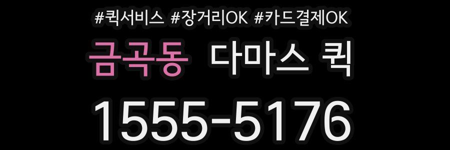 금곡동 다마스 퀵