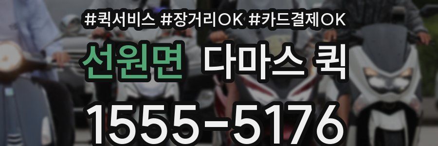 선원면 다마스 퀵