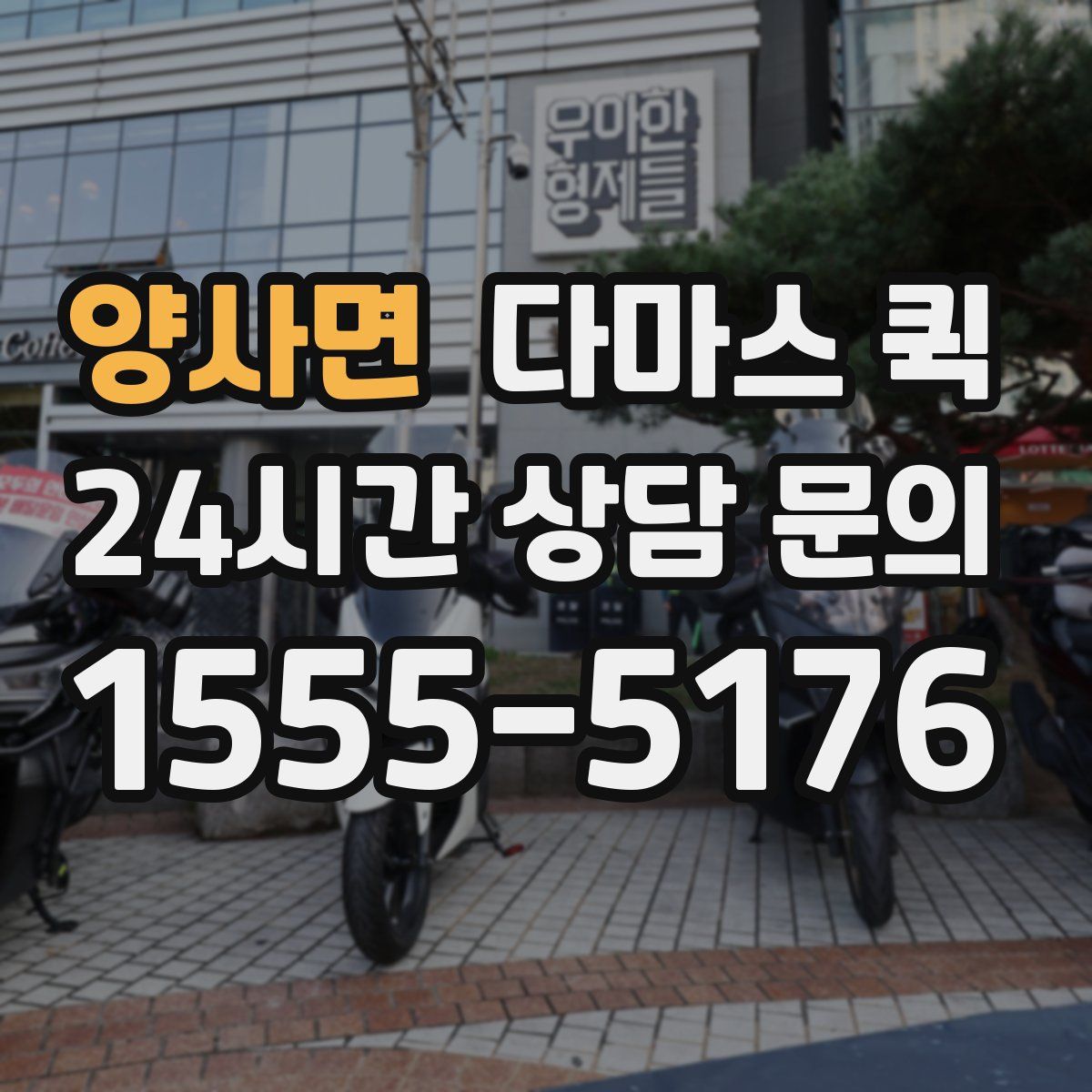 양사면 다마스 퀵