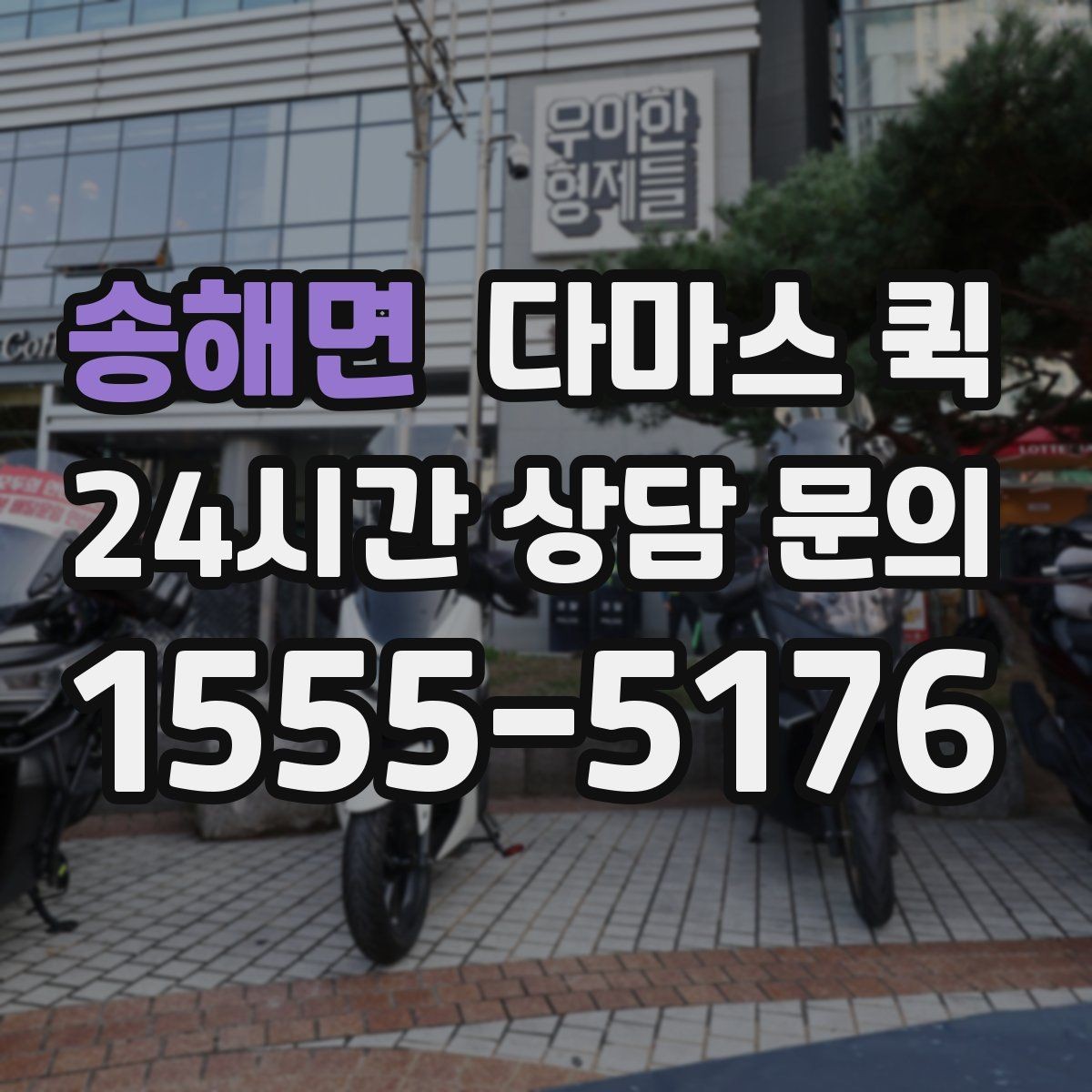 송해면 다마스 퀵 실시간 배차 확인할 때 유용한 방법