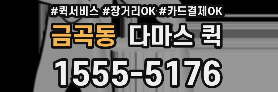 금곡동 다마스 퀵