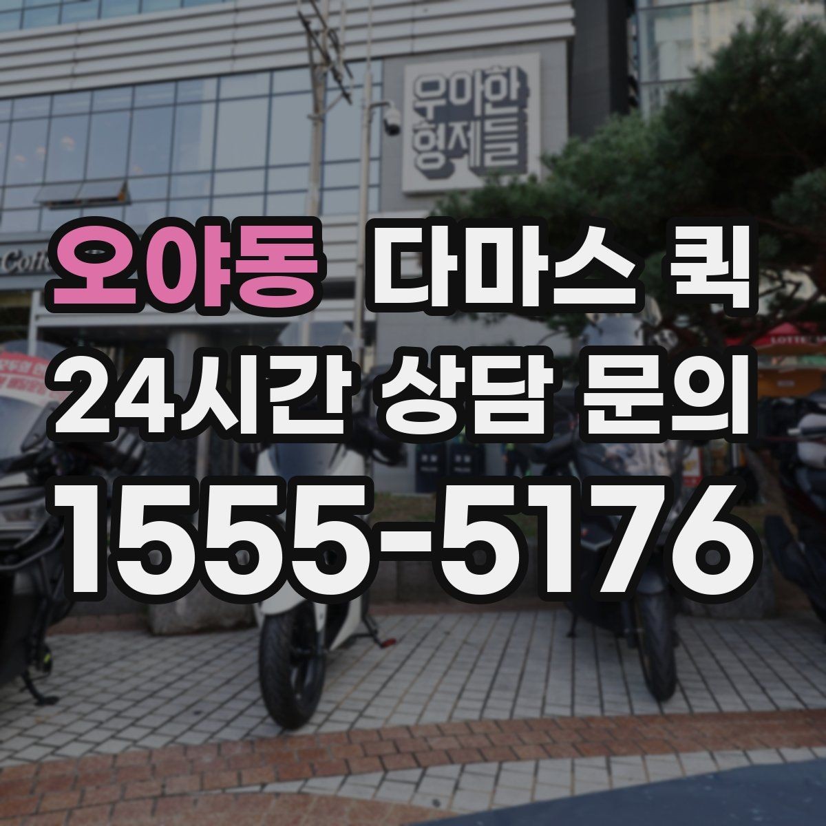 오야동 다마스 퀵 급하게 필요할 때 먼저 볼 항목