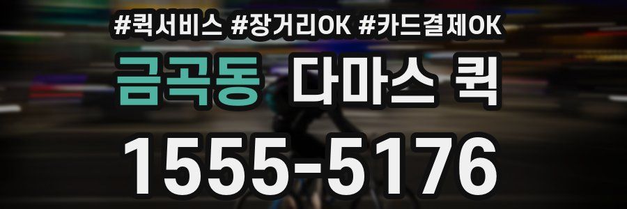 금곡동 다마스 퀵