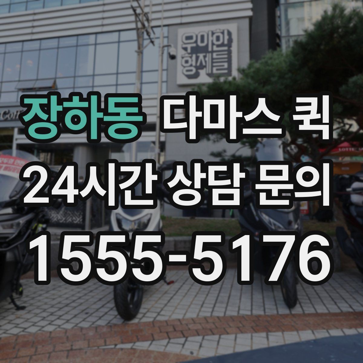 장하동 다마스 퀵 이용 범위를 쉽게 파악하는 법