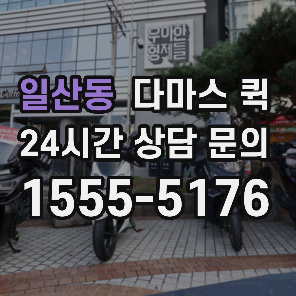 일산동 다마스 퀵 짐 옮길 때 실수하기 쉬운 부분