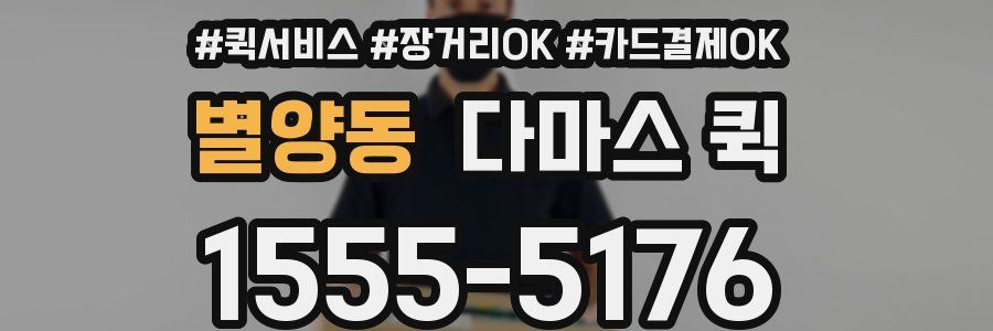 별양동 다마스 퀵