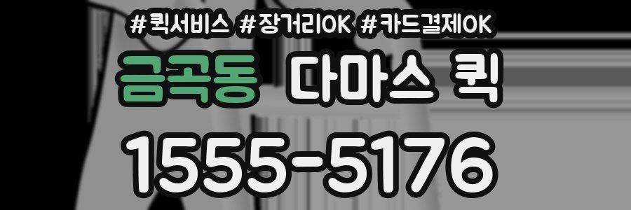 금곡동 다마스 퀵