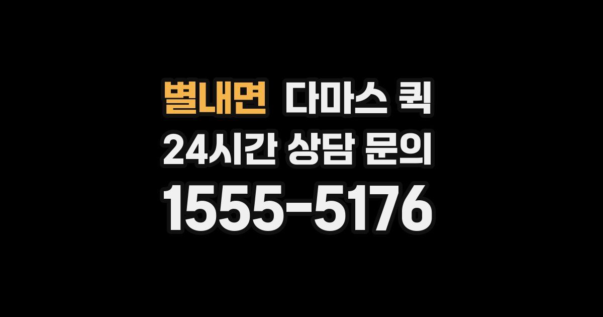별내면 다마스 퀵