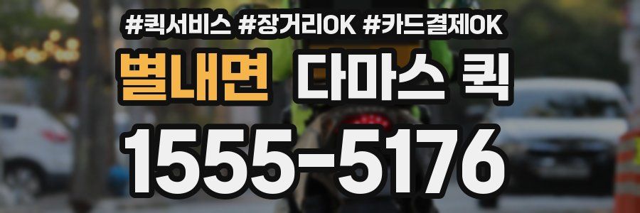 별내면 다마스 퀵