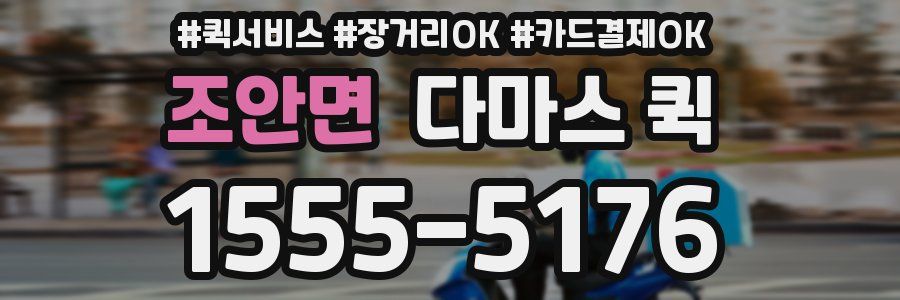조안면 다마스 퀵