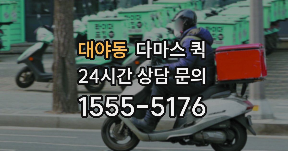 대야동 다마스 퀵