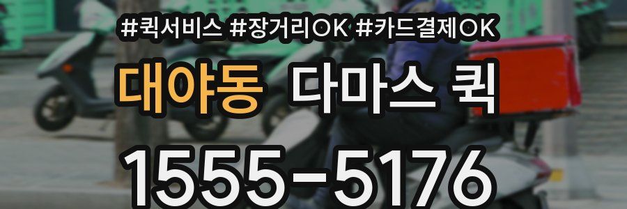 대야동 다마스 퀵