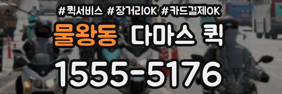 물왕동 다마스 퀵