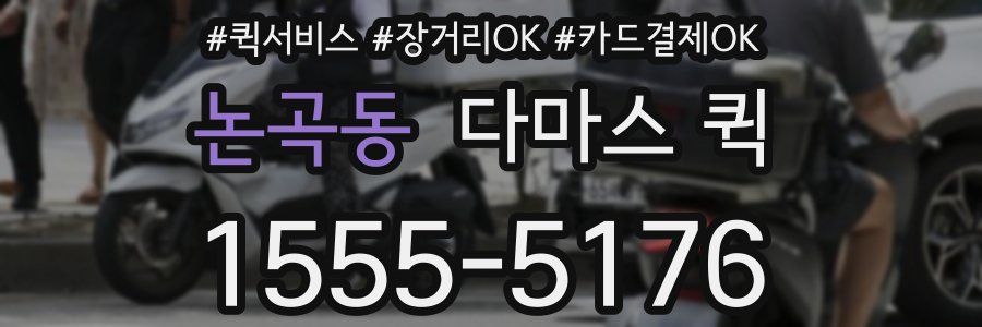 논곡동 다마스 퀵