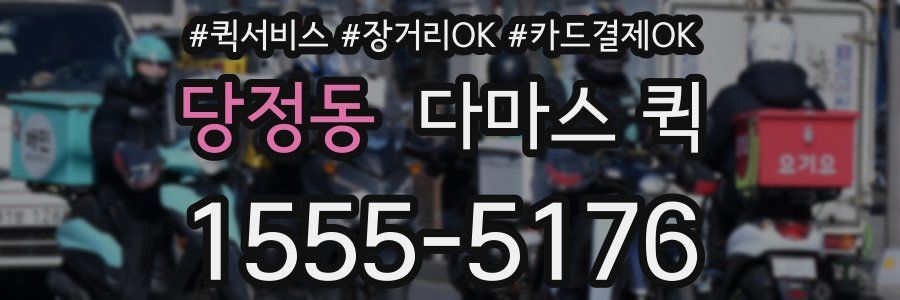 당정동 다마스 퀵