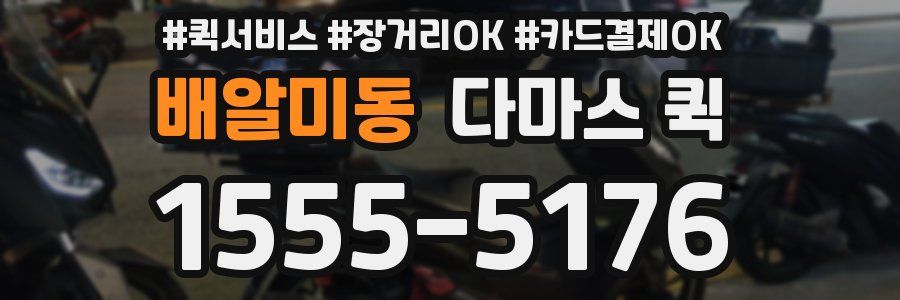 배알미동 다마스 퀵
