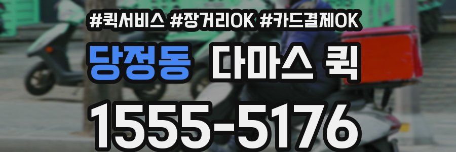 당정동 다마스 퀵