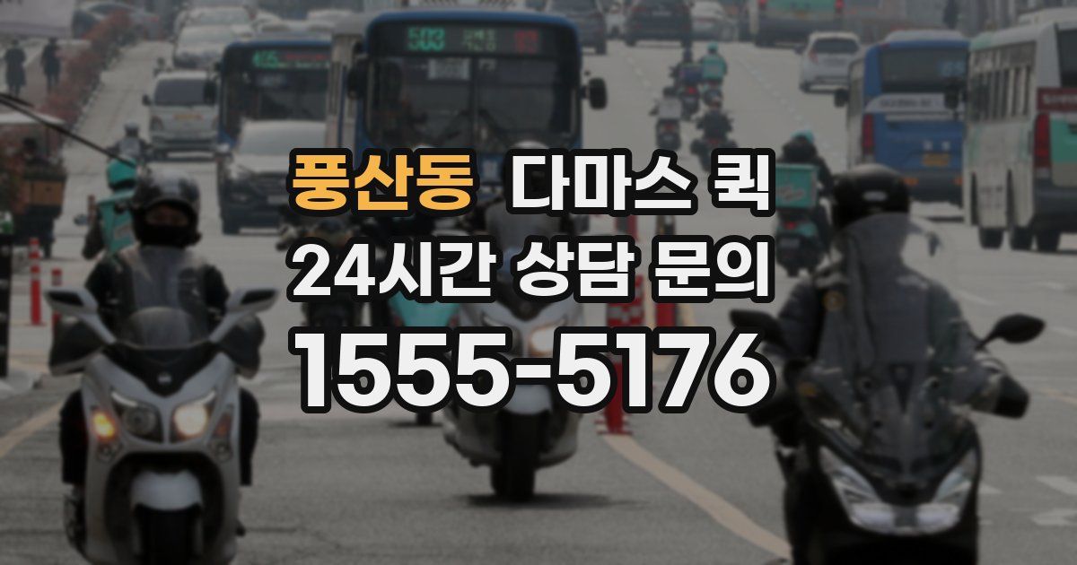 풍산동 다마스 퀵