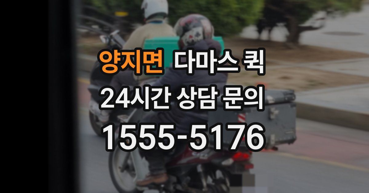 양지면 다마스 퀵