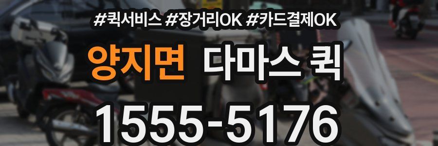 양지면 다마스 퀵