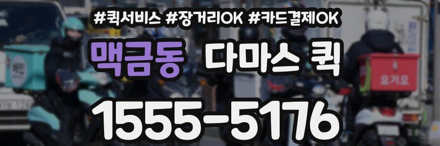 맥금동 다마스 퀵