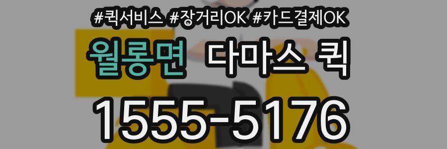 월롱면 다마스 퀵