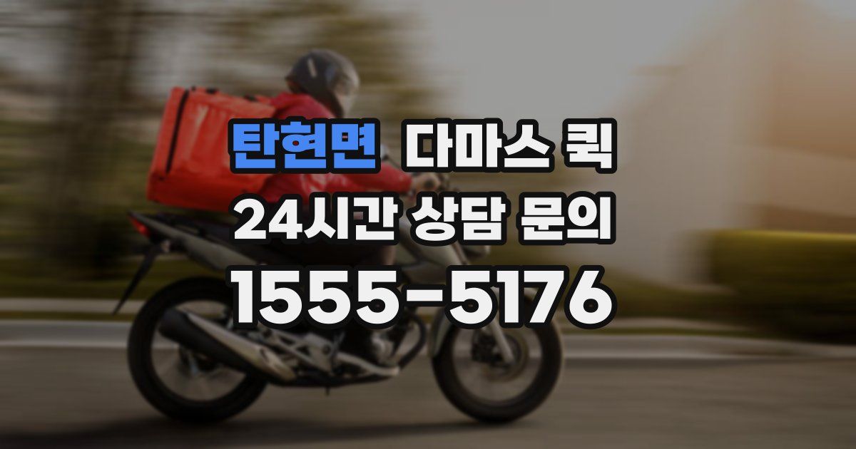 탄현면 다마스 퀵