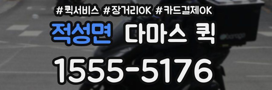 적성면 다마스 퀵
