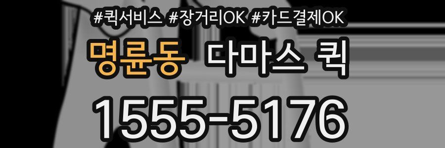 명륜동 다마스 퀵